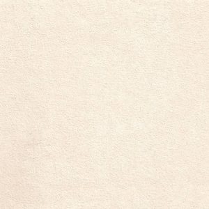 ECSAINE_02
