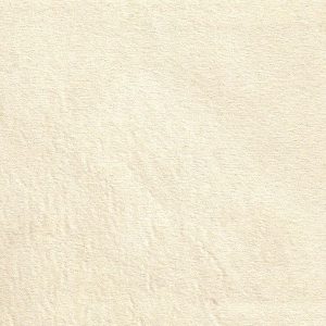 ECSAINE_03