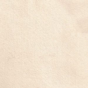 ECSAINE_04