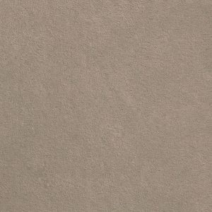 ECSAINE_06