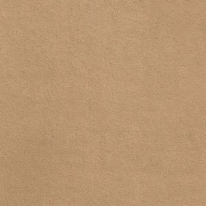ECSAINE_07