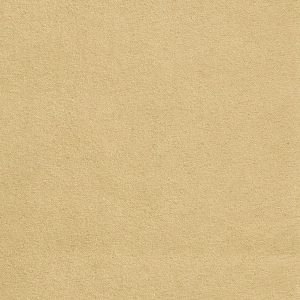 ECSAINE_08