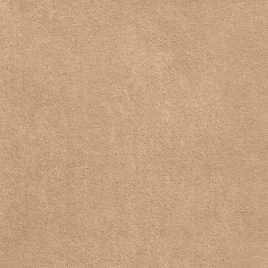 ECSAINE_09