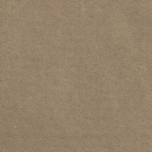 ECSAINE_12