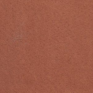 ECSAINE_15