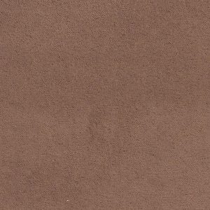 ECSAINE_18