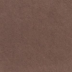 ECSAINE_21