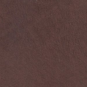 ECSAINE_22