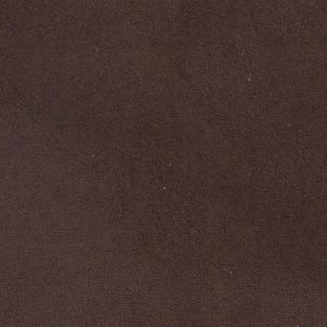 ECSAINE_23