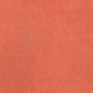 ECSAINE_25
