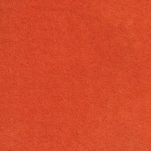 ECSAINE_26