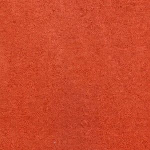 ECSAINE_27