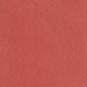 ECSAINE_28