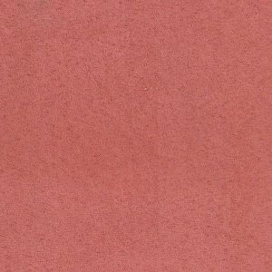 ECSAINE_29