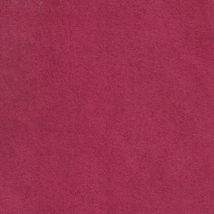 ECSAINE_31