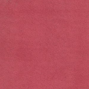 ECSAINE_32
