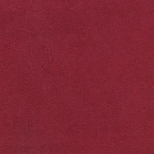 ECSAINE_33