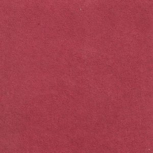 ECSAINE_34