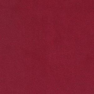 ECSAINE_35
