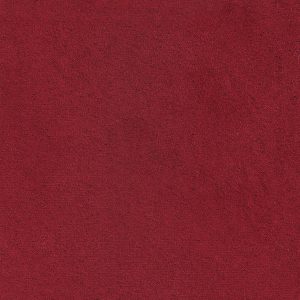 ECSAINE_37