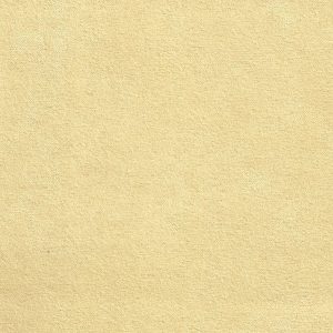 ECSAINE_39