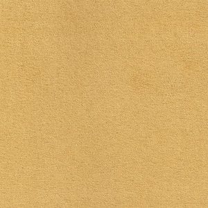 ECSAINE_40
