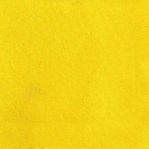 ECSAINE_42