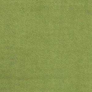 ECSAINE_44