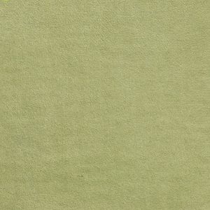 ECSAINE_45