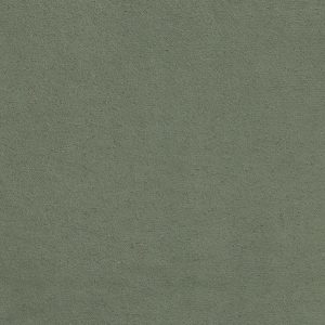 ECSAINE_46
