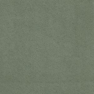 ECSAINE_47