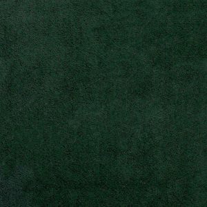 ECSAINE_49