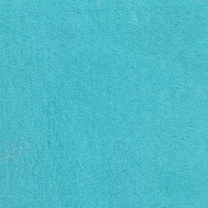 ECSAINE_50