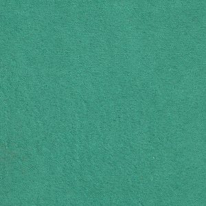 ECSAINE_51