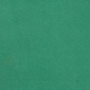ECSAINE_52