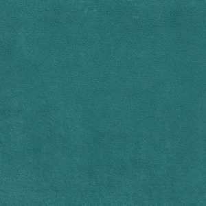ECSAINE_53
