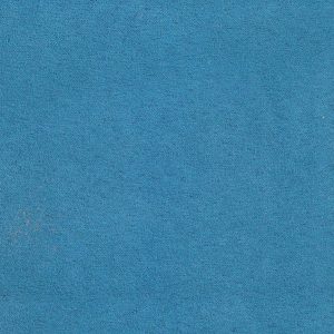 ECSAINE_55