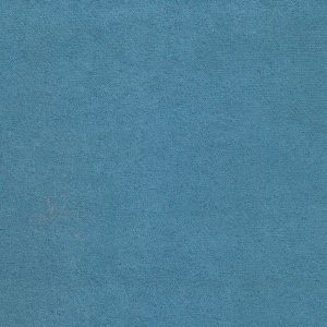 ECSAINE_56