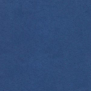 ECSAINE_57