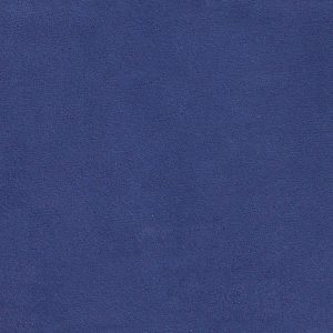 ECSAINE_58