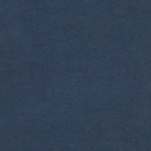 ECSAINE_60
