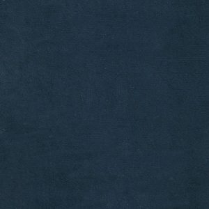 ECSAINE_61