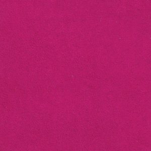 ECSAINE_65