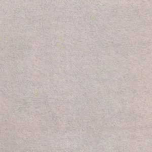 ECSAINE_71