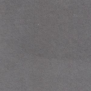 ECSAINE_74