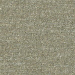 EW11136