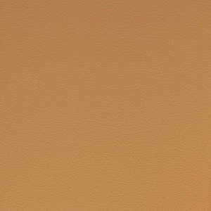 LOOPING_11
