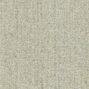 24455