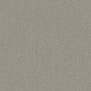 Buvel_21
