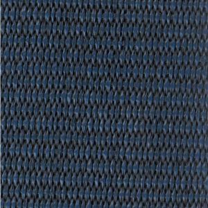 Buri_03